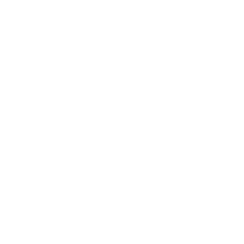 TRUE Original Document QRCODE