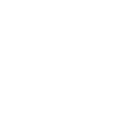 TRUE Original Document QRCODE