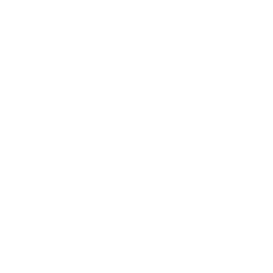 TRUE Original Document QRCODE