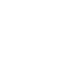 TRUE Original Document QRCODE