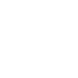 TRUE Original Document QRCODE