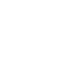 TRUE Original Document QRCODE