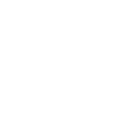 TRUE Original Document QRCODE