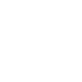 TRUE Original Document QRCODE