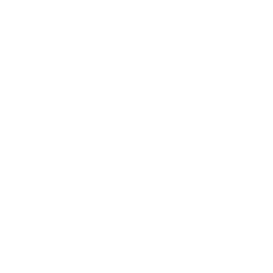 TRUE Original Document QRCODE