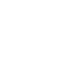 TRUE Original Document QRCODE