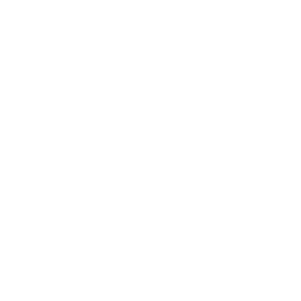 TRUE Original Document QRCODE