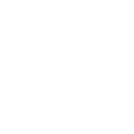 TRUE Original Document QRCODE