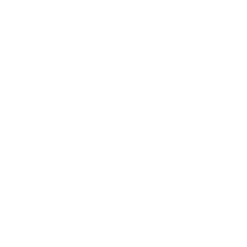 TRUE Original Document QRCODE