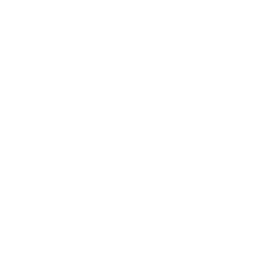 TRUE Original Document QRCODE