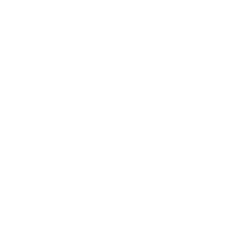 TRUE Original Document QRCODE
