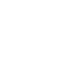 TRUE Original Document QRCODE