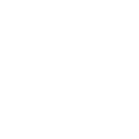 TRUE Original Document QRCODE