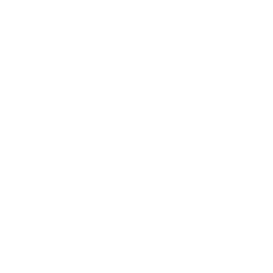 TRUE Original Document QRCODE