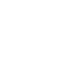 TRUE Original Document QRCODE