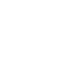 TRUE Original Document QRCODE