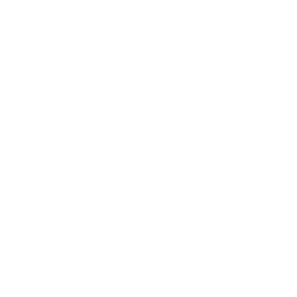 TRUE Original Document QRCODE