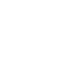 TRUE Original Document QRCODE