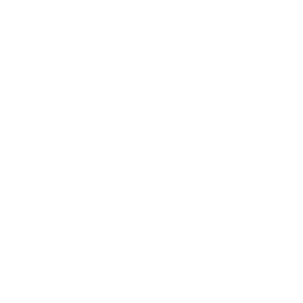 TRUE Original Document QRCODE