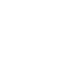 TRUE Original Document QRCODE