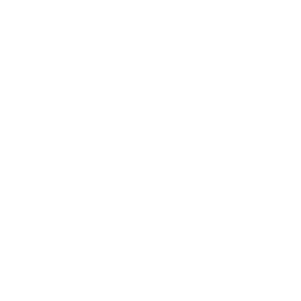 TRUE Original Document QRCODE