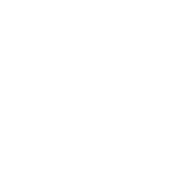 TRUE Original Document QRCODE