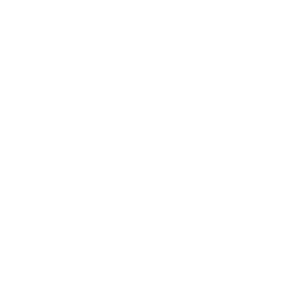 TRUE Original Document QRCODE