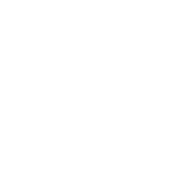 TRUE Original Document QRCODE