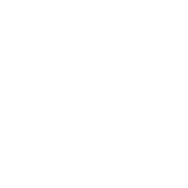 TRUE Original Document QRCODE