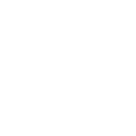 TRUE Original Document QRCODE