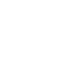 TRUE Original Document QRCODE