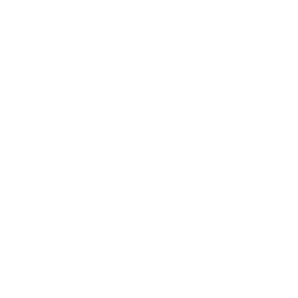 TRUE Original Document QRCODE