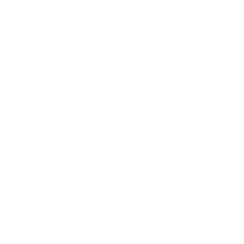 TRUE Original Document QRCODE