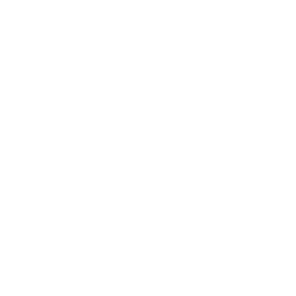 TRUE Original Document QRCODE