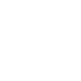 TRUE Original Document QRCODE
