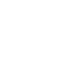 TRUE Original Document QRCODE