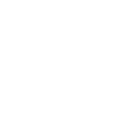 TRUE Original Document QRCODE