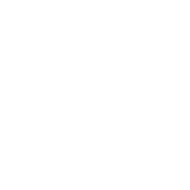 TRUE Original Document QRCODE