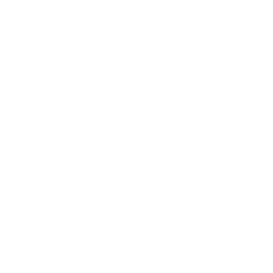 TRUE Original Document QRCODE