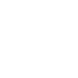 TRUE Original Document QRCODE