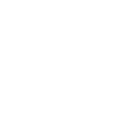 TRUE Original Document QRCODE