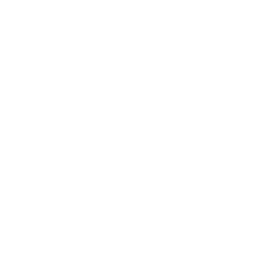TRUE Original Document QRCODE