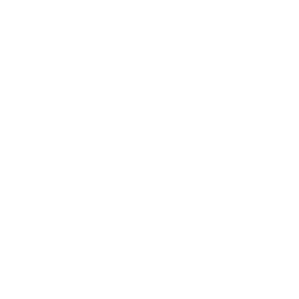 TRUE Original Document QRCODE