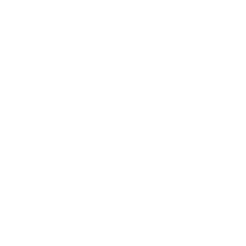TRUE Original Document QRCODE
