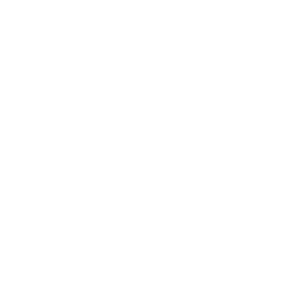TRUE Original Document QRCODE