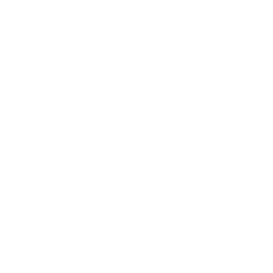 TRUE Original Document QRCODE
