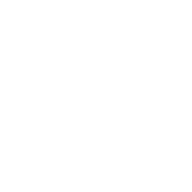 TRUE Original Document QRCODE