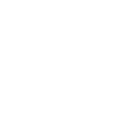 TRUE Original Document QRCODE