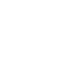 TRUE Original Document QRCODE