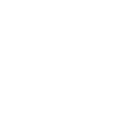 TRUE Original Document QRCODE